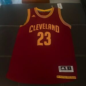 adidas Lebron James Gold Swingman Jersey